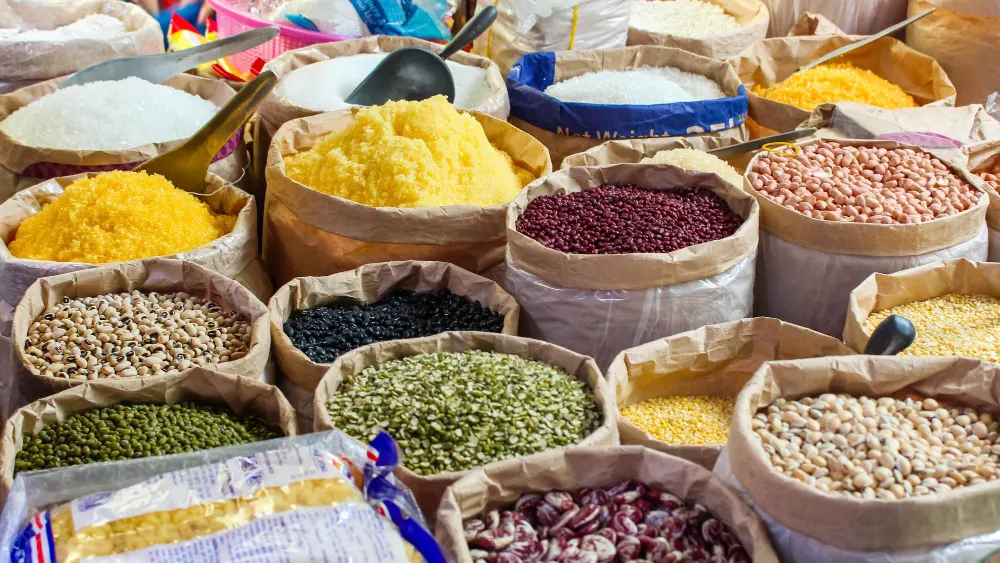 Agriculture / Food Exporter